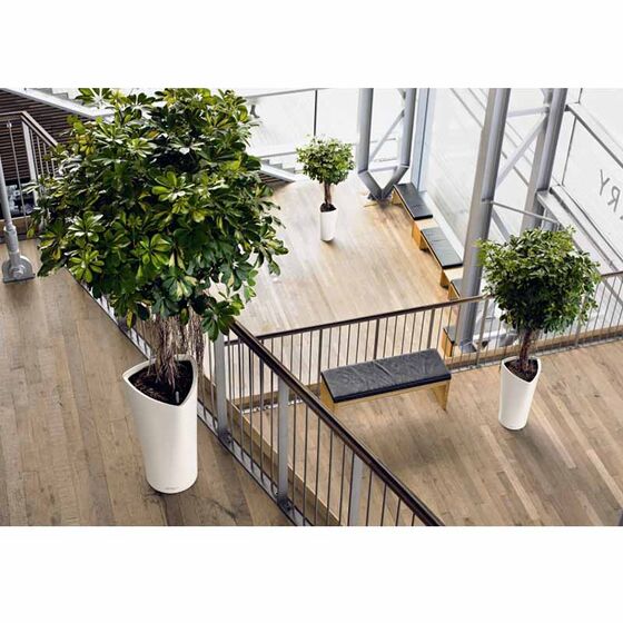 LECHUZA Delta 40 Premium Επιδαπέδια Γλάστρα Ø39x75.5cm Αυτοποτιζόμενη με Δοχείο Φύτευσης Λευκή Γυαλιστερή Γερμανίας