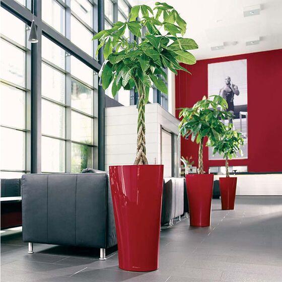 LECHUZA Delta 30 Premium Επιδαπέδια Γλάστρα Ø29x56.5cm Αυτοποτιζόμενη με Δοχείο Φύτευσης Μπορντό Γυαλιστερή Γερμανίας