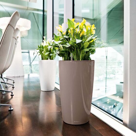LECHUZA RONDO 32 Premium Επιδαπέδια Γλάστρα Ø32.5x56.5cm ΑΥΤΟΠΟΤΙΖΟΜΕΝΗ με Δοχείο Φύτευσης Γκρι Καφέ Γυαλιστερή Γερμανίας