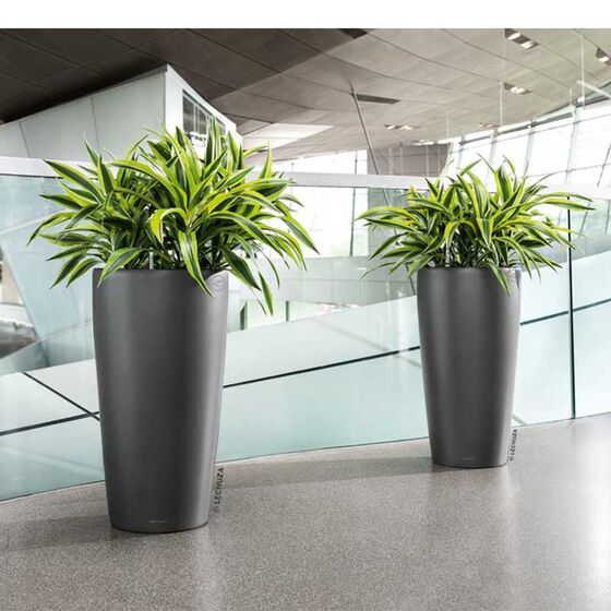 LECHUZA RONDO 32 Premium Επιδαπέδια Γλάστρα Ø32.5x56.5cm ΑΥΤΟΠΟΤΙΖΟΜΕΝΗ με Δοχείο Φύτευσης Ανθρακί Σατινέ Γερμανίας