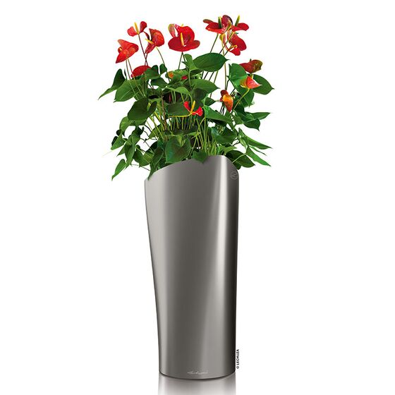 LECHUZA Delta 30 Premium Επιδαπέδια Γλάστρα Ø29x56.5cm Αυτοποτιζόμενη με Δοχείο Φύτευσης Ανθρακί Σατινέ Γερμανίας