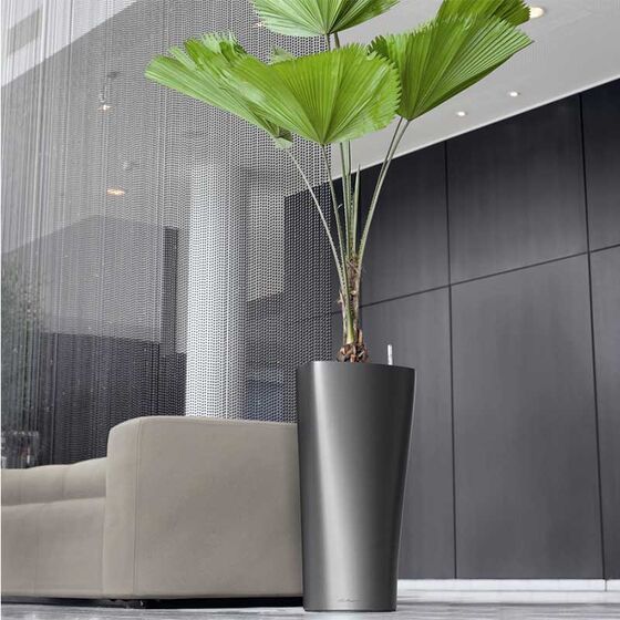 LECHUZA Delta 30 Premium Επιδαπέδια Γλάστρα Ø29x56.5cm Αυτοποτιζόμενη με Δοχείο Φύτευσης Ανθρακί Σατινέ Γερμανίας