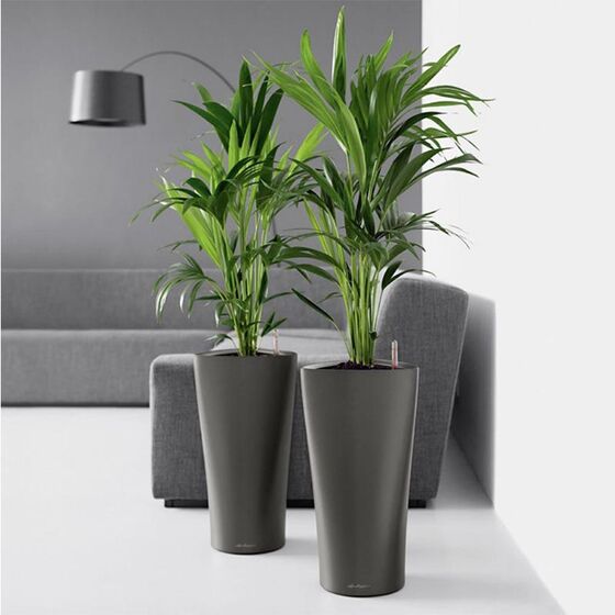 LECHUZA Delta 40 Premium Επιδαπέδια Γλάστρα Ø39x75.5cm Αυτοποτιζόμενη με Δοχείο Φύτευσης Ανθρακί Σατινέ Γερμανίας