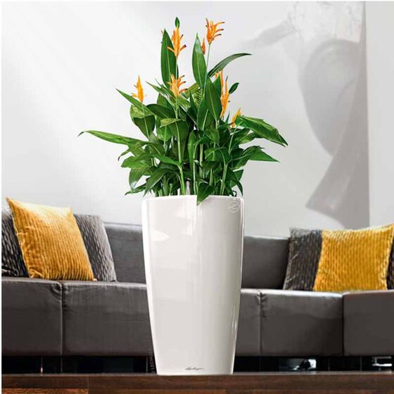 LECHUZA RONDO 32 Premium Επιδαπέδια Γλάστρα Ø32.5x56.5cm ΑΥΤΟΠΟΤΙΖΟΜΕΝΗ με Δοχείο Φύτευσης Λευκή Γυαλιστερή Γερμανίας