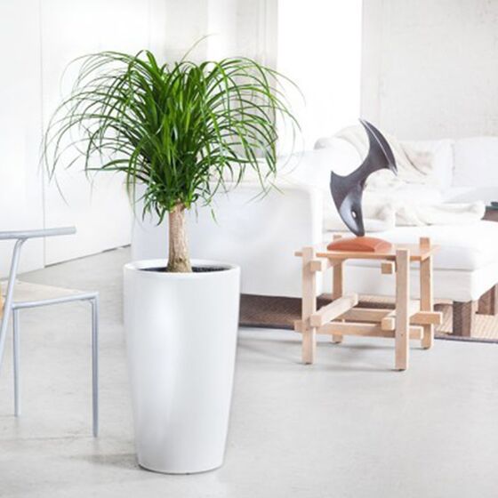 LECHUZA RONDO 40 Premium Επιδαπέδια Γλάστρα Ø40x75cm ΑΥΤΟΠΟΤΙΖΟΜΕΝΗ με Δοχείο Φύτευσης Λευκή Γυαλιστερή Γερμανίας