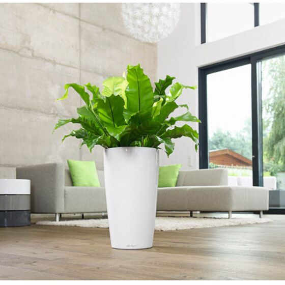 LECHUZA RONDO 40 Premium Επιδαπέδια Γλάστρα Ø40x75cm ΑΥΤΟΠΟΤΙΖΟΜΕΝΗ με Δοχείο Φύτευσης Λευκή Γυαλιστερή Γερμανίας