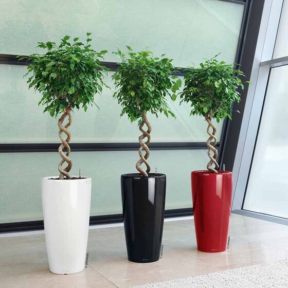 LECHUZA RONDO 40 Premium Επιδαπέδια Γλάστρα Ø40x75cm ΑΥΤΟΠΟΤΙΖΟΜΕΝΗ με Δοχείο Φύτευσης Λευκή Γυαλιστερή Γερμανίας