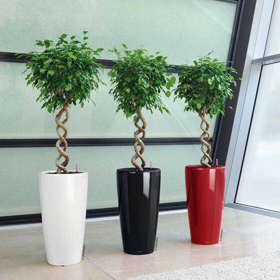 LECHUZA RONDO 32 Premium Επιδαπέδια Γλάστρα Ø32.5x56.5cm ΑΥΤΟΠΟΤΙΖΟΜΕΝΗ με Δοχείο Φύτευσης Μαύρη Γυαλιστερή Γερμανίας