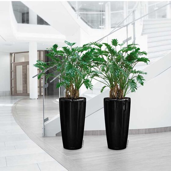 LECHUZA RONDO 32 Premium Επιδαπέδια Γλάστρα Ø32.5x56.5cm ΑΥΤΟΠΟΤΙΖΟΜΕΝΗ με Δοχείο Φύτευσης Μαύρη Γυαλιστερή Γερμανίας