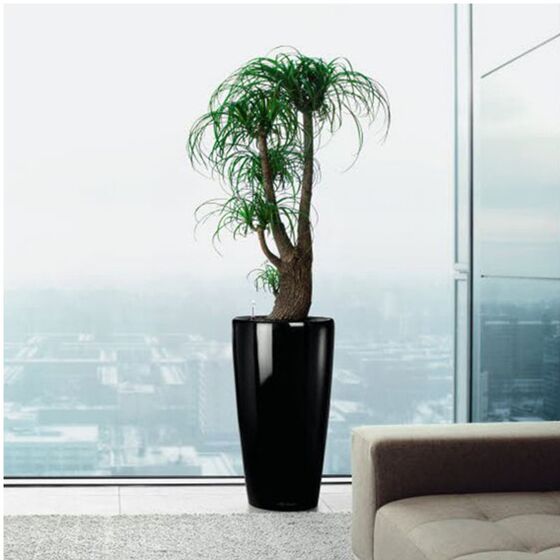 LECHUZA RONDO 32 Premium Επιδαπέδια Γλάστρα Ø32.5x56.5cm ΑΥΤΟΠΟΤΙΖΟΜΕΝΗ με Δοχείο Φύτευσης Μαύρη Γυαλιστερή Γερμανίας