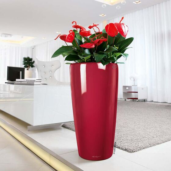 LECHUZA RONDO 40 Premium Επιδαπέδια Γλάστρα Ø40x75cm ΑΥΤΟΠΟΤΙΖΟΜΕΝΗ με Δοχείο Φύτευσης Μπορντό Γυαλιστερή Γερμανίας