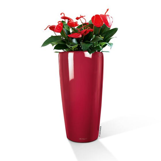 LECHUZA RONDO 40 Premium Επιδαπέδια Γλάστρα Ø40x75cm ΑΥΤΟΠΟΤΙΖΟΜΕΝΗ με Δοχείο Φύτευσης Μπορντό Γυαλιστερή Γερμανίας