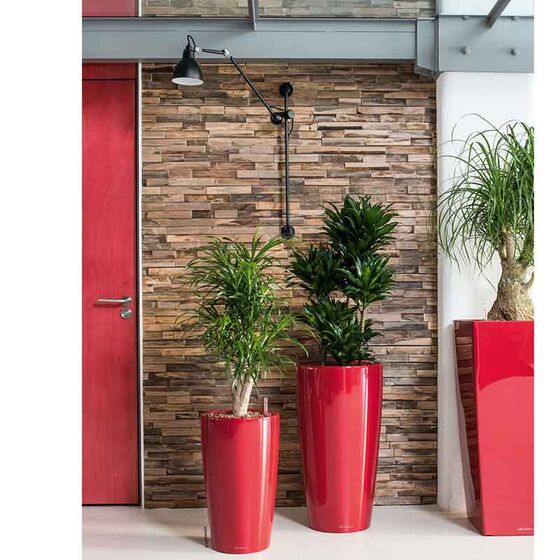 LECHUZA RONDO 40 Premium Επιδαπέδια Γλάστρα Ø40x75cm ΑΥΤΟΠΟΤΙΖΟΜΕΝΗ με Δοχείο Φύτευσης Μπορντό Γυαλιστερή Γερμανίας