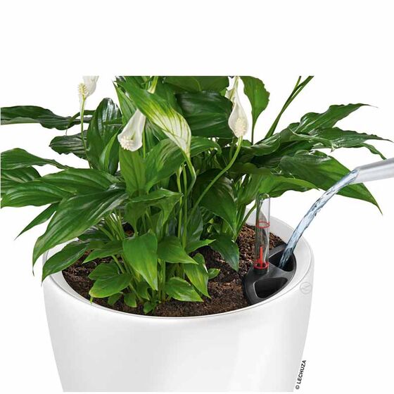LECHUZA Classico 43 LS Premium Επιδαπέδια Γλάστρα Ø43.5x39.5cm Αυτοποτιζόμενη με Δοχείο Φύτευσης Καφέ Espresso Γυαλιστερή Γερμανίας