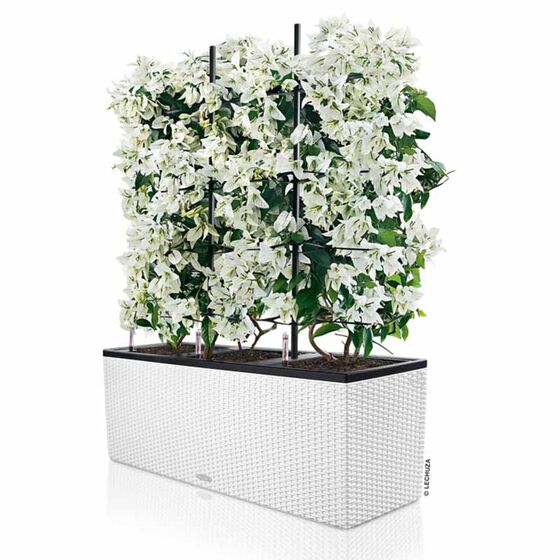 LECHUZA Trio 40 Cottage Ζαρντινιέρα 129.5x42x44cm Αυτοποτιζόμενη με 3 Κάδους Φύτευσης Λευκή RATTAN Γερμανίας