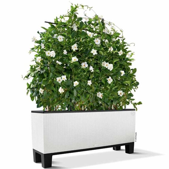 LECHUZA Trio 40 Cottage Ζαρντινιέρα 129.5x42x44cm Αυτοποτιζόμενη με 3 Κάδους Φύτευσης Λευκή RATTAN Γερμανίας