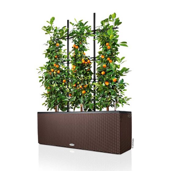 LECHUZA Trio 40 Cottage Ζαρντινιέρα 129.5x42x44cm Αυτοποτιζόμενη με 3 Κάδους Φύτευσης Ανθρακί RATTAN Γερμανίας