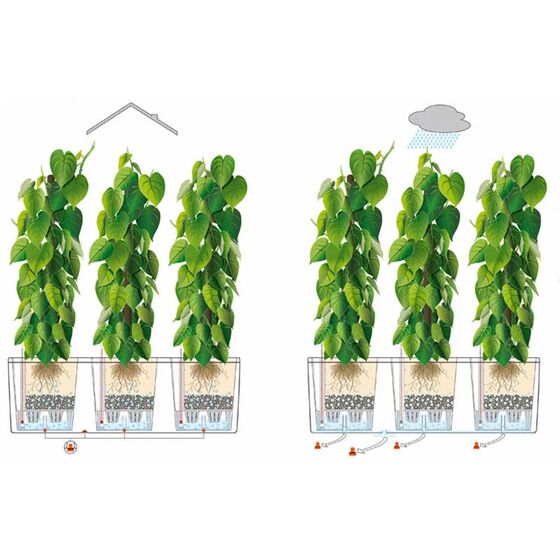 LECHUZA Trio 30 Cottage Ζαρντινιέρα 100x32.5x34.5cm Αυτοποτιζόμενη με 3 Κάδους Φύτευσης Ανθρακί RATTAN Γερμανίας