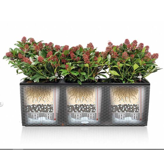 LECHUZA Trio 40 Cottage Ζαρντινιέρα 129.5x42x44cm Αυτοποτιζόμενη με 3 Κάδους Φύτευσης Λευκή RATTAN Γερμανίας