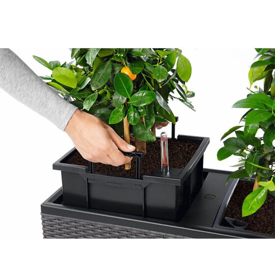 LECHUZA Trio 40 Cottage Ζαρντινιέρα 129.5x42x44cm Αυτοποτιζόμενη με 3 Κάδους Φύτευσης Λευκή RATTAN Γερμανίας