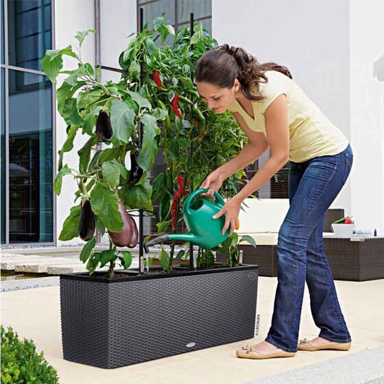 LECHUZA Trio 30 Cottage Ζαρντινιέρα 100x32.5x34.5cm Αυτοποτιζόμενη με 3 Κάδους Φύτευσης Ανθρακί RATTAN Γερμανίας