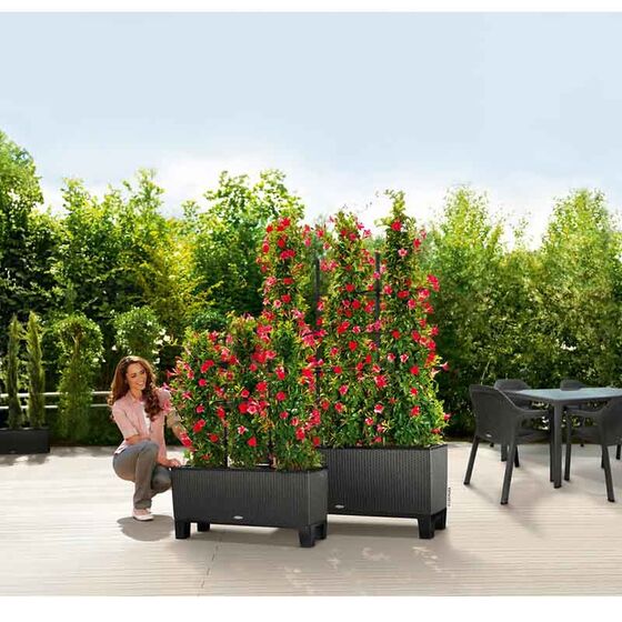 LECHUZA Trio 30 Cottage Ζαρντινιέρα 100x32.5x34.5cm Αυτοποτιζόμενη με 3 Κάδους Φύτευσης Ανθρακί RATTAN Γερμανίας