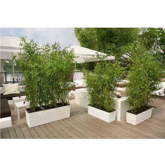 LECHUZA Trio 30 Cottage Ζαρντινιέρα 100x32.5x34.5cm Αυτοποτιζόμενη με 3 Κάδους Φύτευσης Λευκή RATTAN Γερμανίας