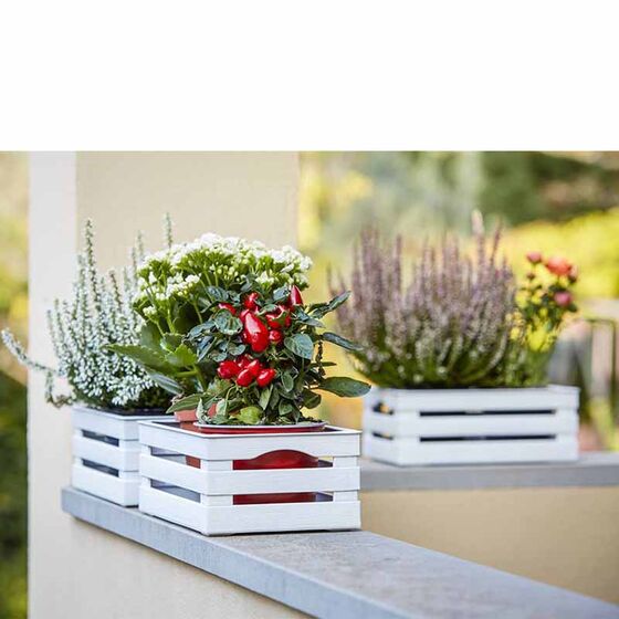 BAMA Ιταλίας Τελάρο Πολλαπλών Χρήσεων 41x31x14cm Πλαστικό με Όψη Ξύλου Κρεμ TINA 3
