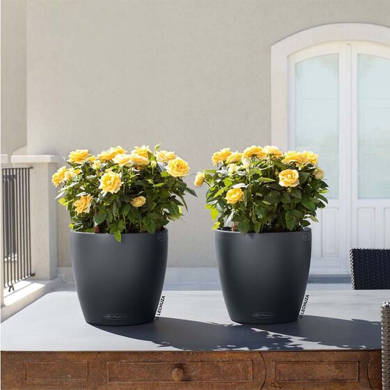 LECHUZA Classico 18 Επιτραπέζια Γλάστρα Ø19x17cm Αυτοποτιζόμενη Ανθρακί Γερμανίας