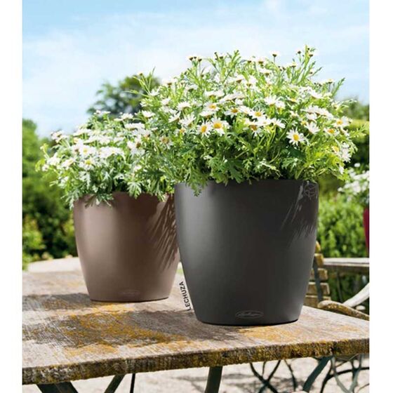 LECHUZA Classico 18 Επιτραπέζια Γλάστρα Ø19x17cm Αυτοποτιζόμενη Καρυδί Γερμανίας