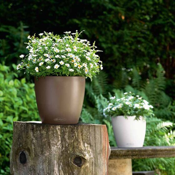 LECHUZA Classico 18 Επιτραπέζια Γλάστρα Ø19x17cm Αυτοποτιζόμενη Καρυδί Γερμανίας