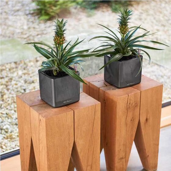 LECHUZA CUBE Glossy 14 Επιτραπέζια Γλάστρα 14x14x14cm Αυτοποτιζόμενη με Εσωτερικό Δοχείο Charcoal Metallic Γερμανίας