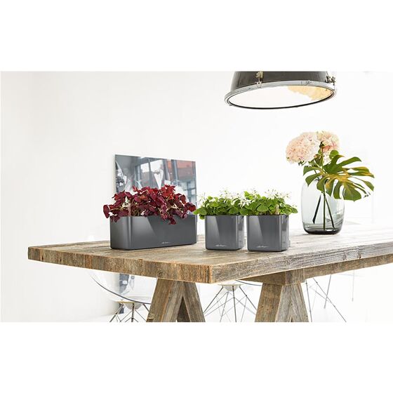 LECHUZA CUBE Glossy 14 Επιτραπέζια Γλάστρα 14x14x14cm Αυτοποτιζόμενη με Εσωτερικό Δοχείο Charcoal Metallic Γερμανίας