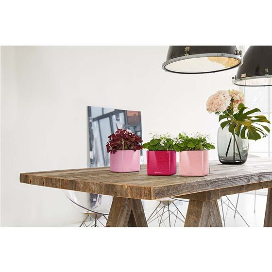 LECHUZA CUBE Glossy Kiss 14 Επιτραπέζια Γλάστρα 14x14x14cm Αυτοποτιζόμενη με Εσωτερικό Δοχείο SWEET CANDY Glitter Γερμανίας