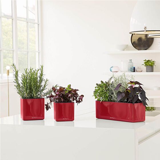 LECHUZA CUBE Glossy Triple Επιτραπέζια Γλάστρα 40x14x14cm Αυτοποτιζόμενη με Εσωτερικό Δοχείο Scarlet Red Γερμανίας