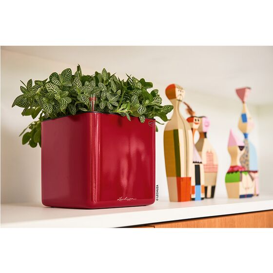 LECHUZA CUBE Glossy 14 Επιτραπέζια Γλάστρα 14x14x14cm Αυτοποτιζόμενη με Εσωτερικό Δοχείο Scarlet Red Γερμανίας