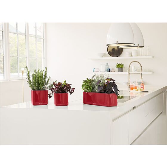 LECHUZA CUBE Glossy 16 Επιτραπέζια Γλάστρα 17x17x16cm Αυτοποτιζόμενη με Εσωτερικό Δοχείο Scarlet Red Γερμανίας
