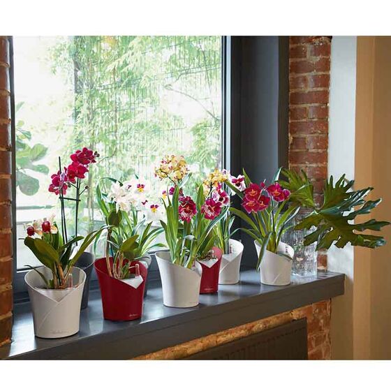 LECHUZA ORCHIDEA Επιτραπέζια Γλάστρα Ø18x20cm Αυτοποτιζόμενη Scarlet Red Matt Γερμανίας