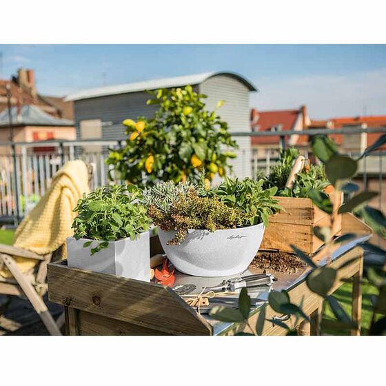 LECHUZA Canto Stone Low 14 Επιτραπέζια Γλάστρα 14x14x13.5cm Αυτοποτιζόμενη με Δοχείο QUARTZ WHITE Γερμανίας