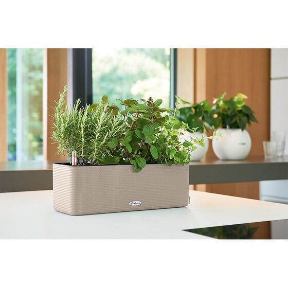 LECHUZA Cube Color Triple Ζαρντινιέρα-Κασπώ 40x14x13.5cm Αυτοποτιζόμενη με Εσωτερικό Δοχείο Sand Brown Γερμανίας