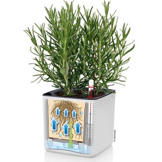 LECHUZA GREEN WALL Color Επιτοίχια Γλάστρα 48x6x14cm Αυτοποτιζόμενη 1.9kg με Εσωτερικά Δοχεία ΛΕΥΚΗ Γερμανίας
