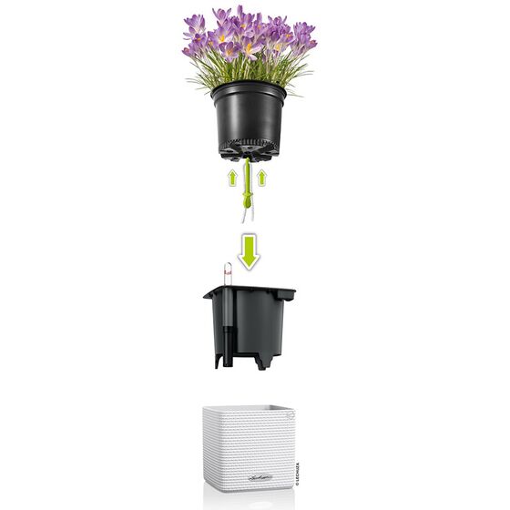 LECHUZA GREEN WALL Color Επιτοίχια Γλάστρα 48x6x14cm Αυτοποτιζόμενη 1.9kg με Εσωτερικά Δοχεία ΛΕΥΚΗ Γερμανίας