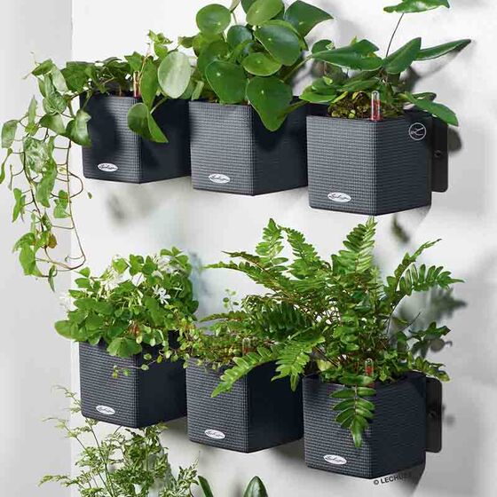 LECHUZA GREEN WALL Color Επιτοίχια Γλάστρα 48x6x14cm Αυτοποτιζόμενη 1.9kg με Εσωτερικά Δοχεία ΑΝΘΡΑΚΙ Γερμανίας