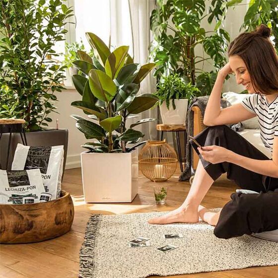 LECHUZA-PON Υπόστρωμα Φύτευσης 6lt με Λίπασμα για Γλάστρες Lechuza