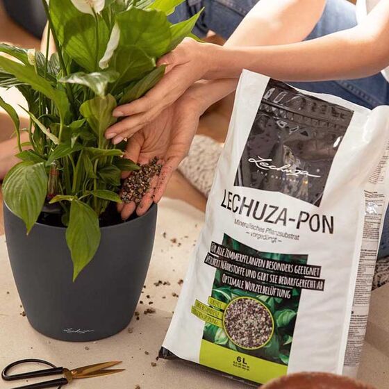 LECHUZA-PON Υπόστρωμα Φύτευσης 6lt με Λίπασμα για Γλάστρες Lechuza