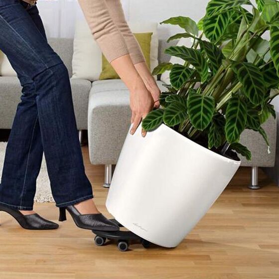 LECHUZA Βάση με Ρόδες Ø41.5cm για Γλάστρες CLASSICO 70 και HAVALO 60 Μαύρη