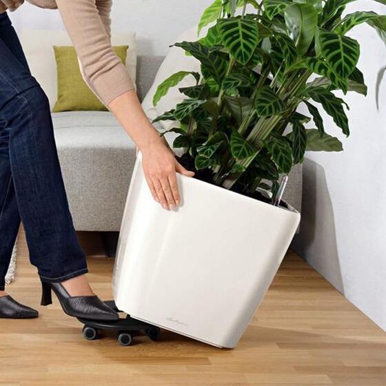 LECHUZA Βάση με Ρόδες Ø41.5cm για Γλάστρες CLASSICO 70 και HAVALO 60 Μαύρη