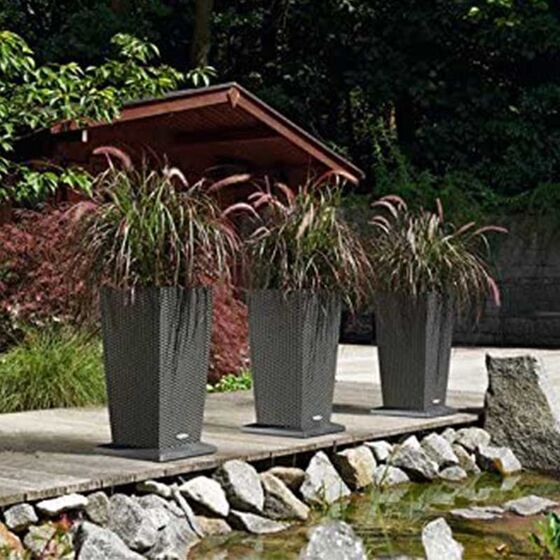 LECHUZA Βάση με Ρόδες Τετράγωνη 32x32x4.5cm για Γλάστρα CUBICO 30 Ανθρακί