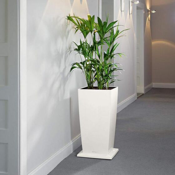 LECHUZA Βάση με Ρόδες Τετράγωνη 32x32x4.5cm για Γλάστρα CUBICO 30 Λευκή