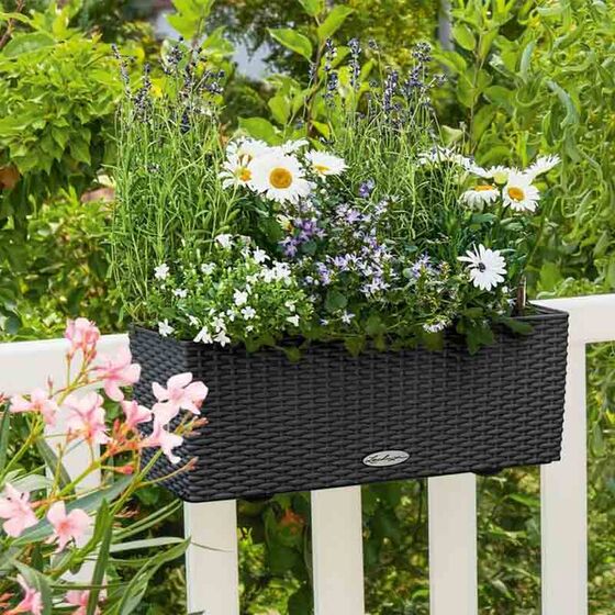 LECHUZA Balconera Cottage50 Ζαρντινιέρα 50x19x19cm Αυτοποτιζόμενη με Δοχείο Φύτευσης Μαύρο του Γραφίτη Γερμανίας RedDot Award 2010